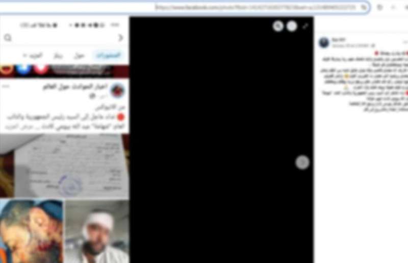 بوابة المصريين