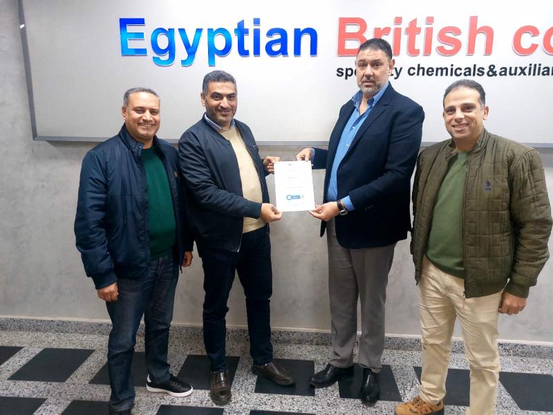 بوابة المصريين