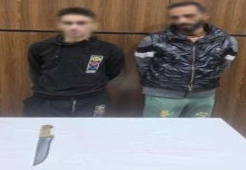 بوابة المصريين