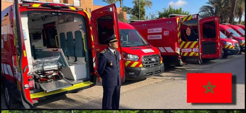 بوابة المصريين