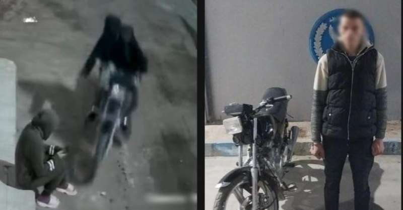 بوابة المصريين