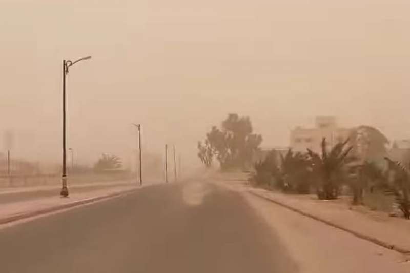 بوابة المصريين