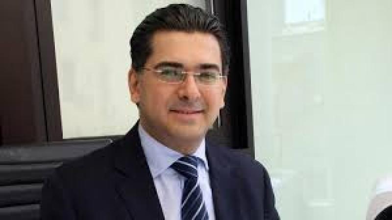 بوابة المصريين