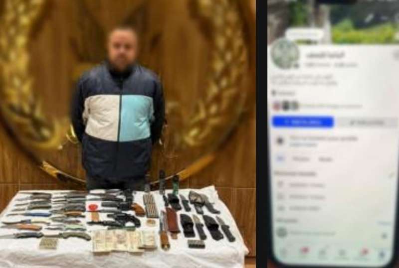 بوابة المصريين