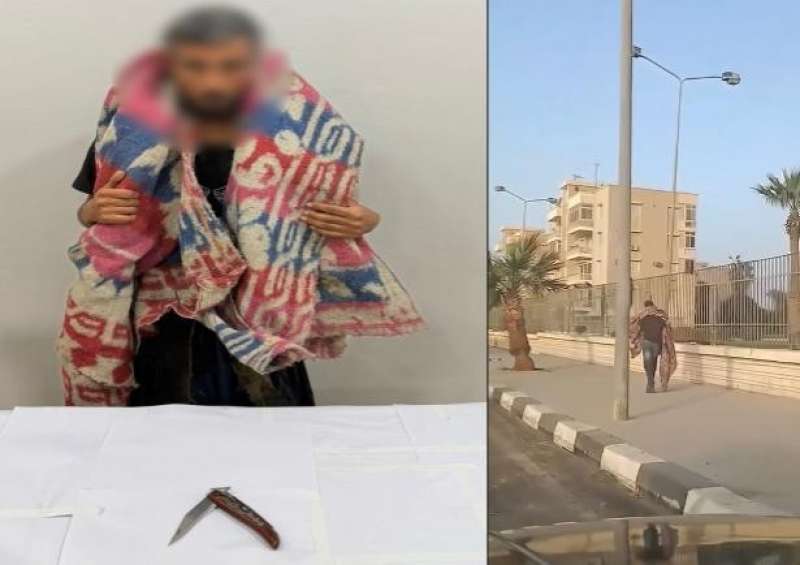 بوابة المصريين