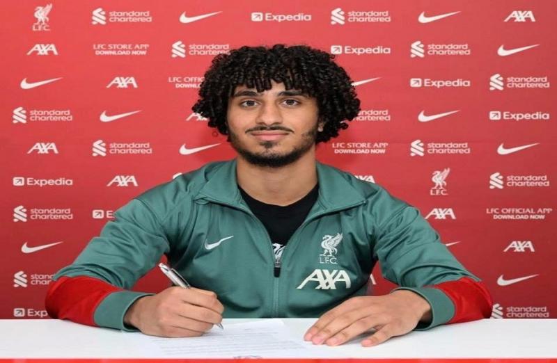 بوابة المصريين