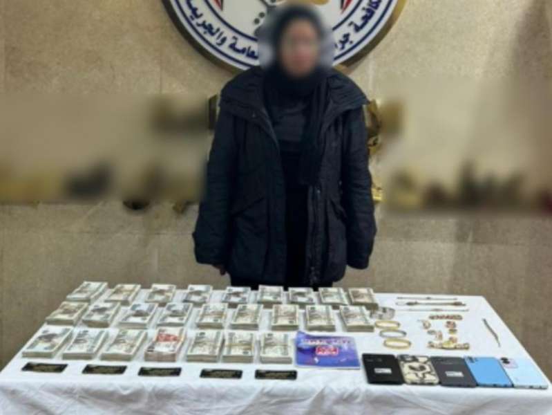 بوابة المصريين