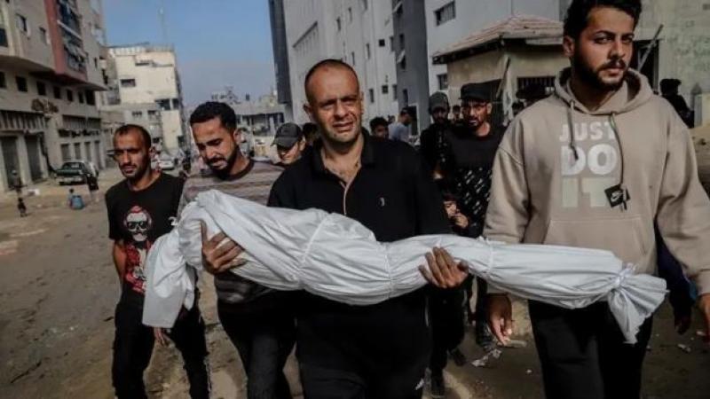 بوابة المصريين