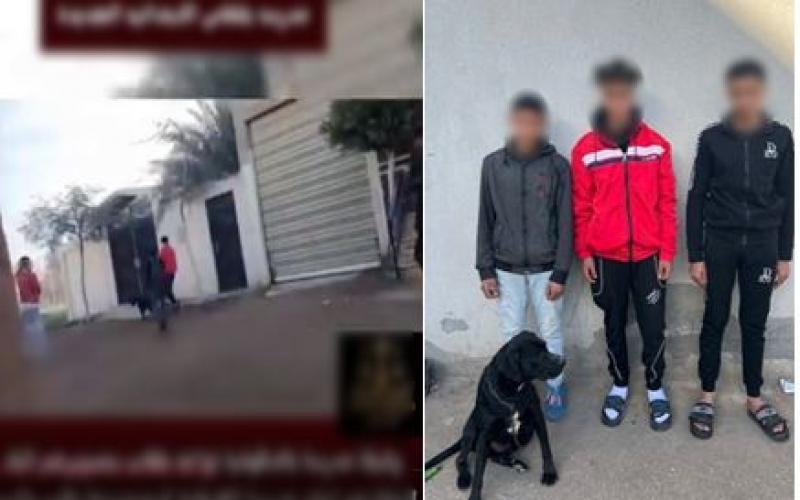 بوابة المصريين