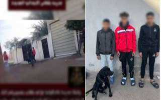 القبض على 3 طلاب بعد واقعة التعدي على معلمة أمام مدرسة في الدقهلية