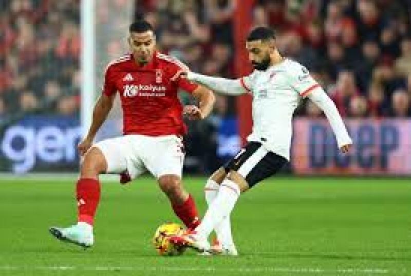 بوابة المصريين