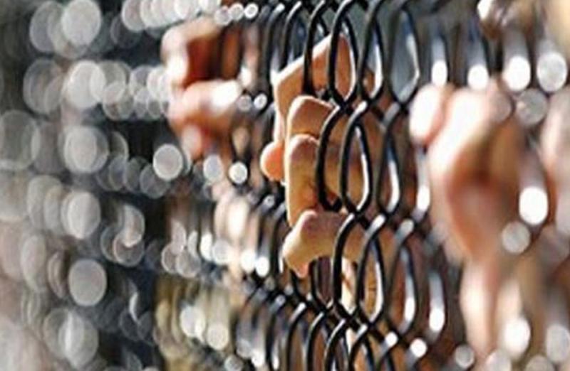 بوابة المصريين