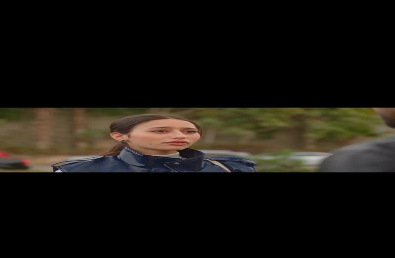 بوابة المصريين