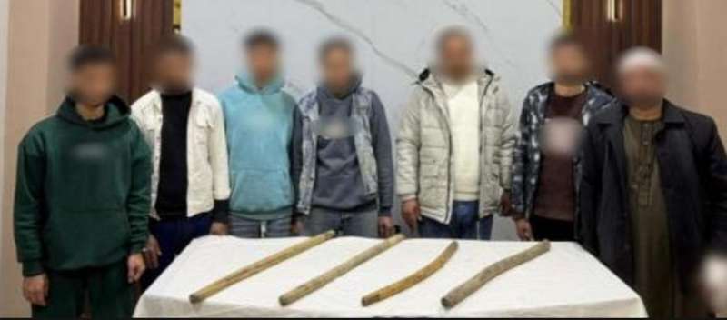 بوابة المصريين