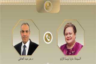 وزير الخارجية يعرب عن تطلعه لإنشاء مجلس أعمال مصري - فلبيني مشترك