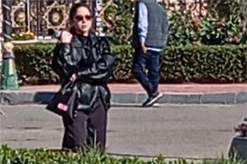 بوابة المصريين