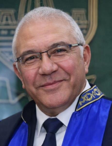 بوابة المصريين