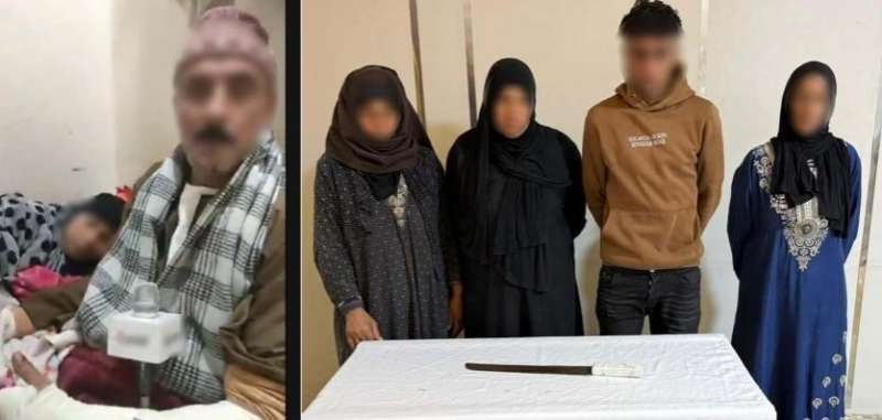 بوابة المصريين