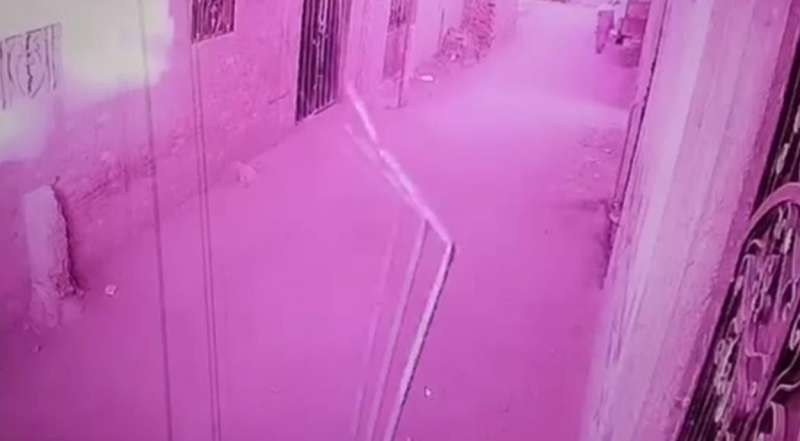 بوابة المصريين