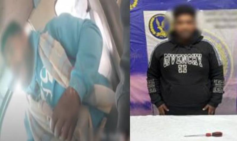 بوابة المصريين