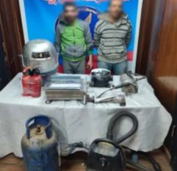 بوابة المصريين