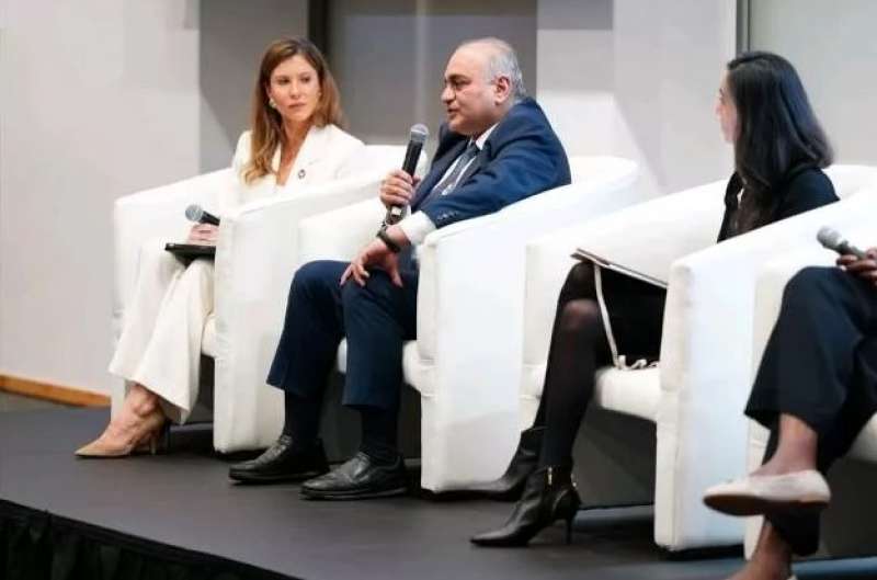 بوابة المصريين