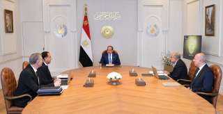 الرئيس السيسي يؤكد الأهمية القصوى للحفاظ على أرصدة استراتيجية آمنة من المنتجات البترولية