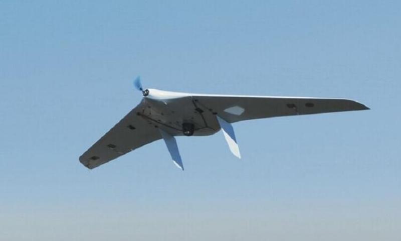 بوابة المصريين