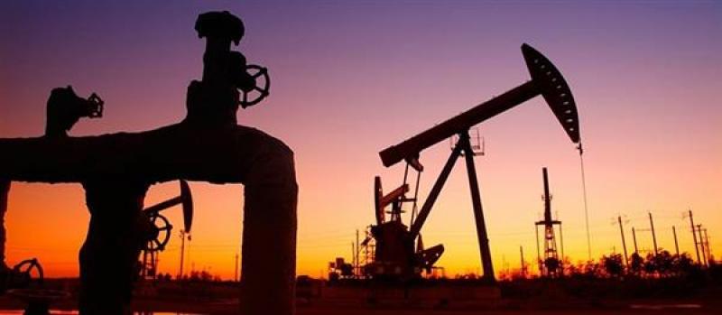 بوابة المصريين