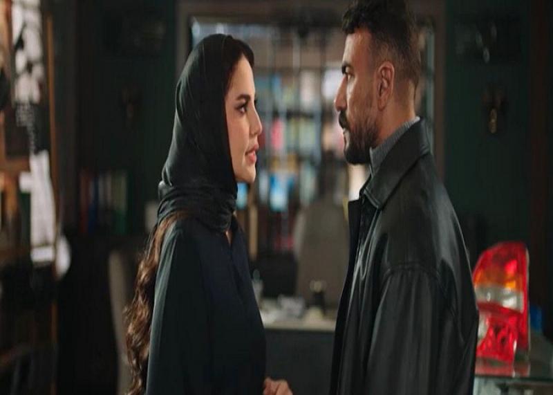 بوابة المصريين