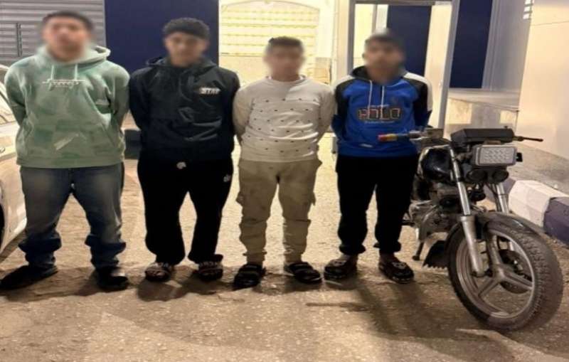 بوابة المصريين