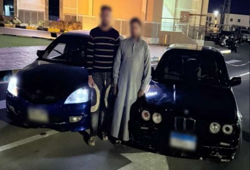 بوابة المصريين