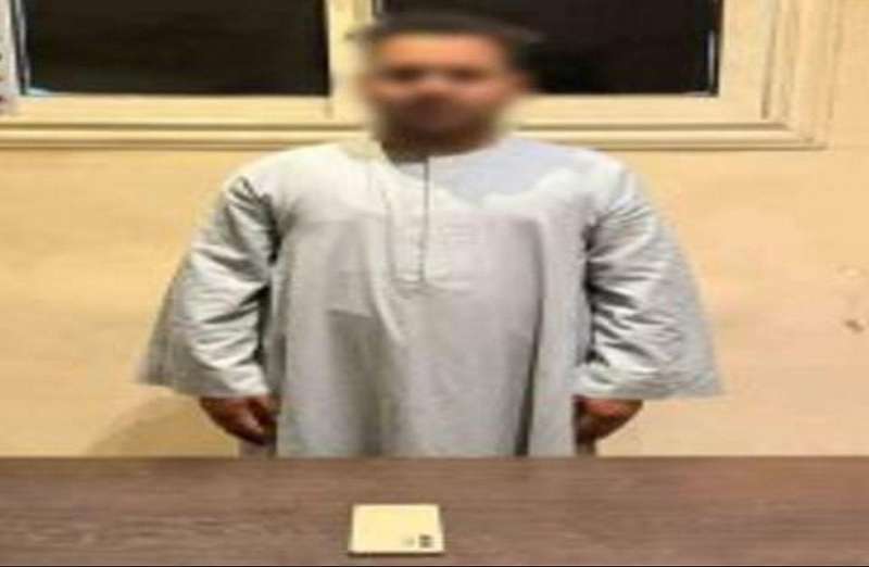 بوابة المصريين