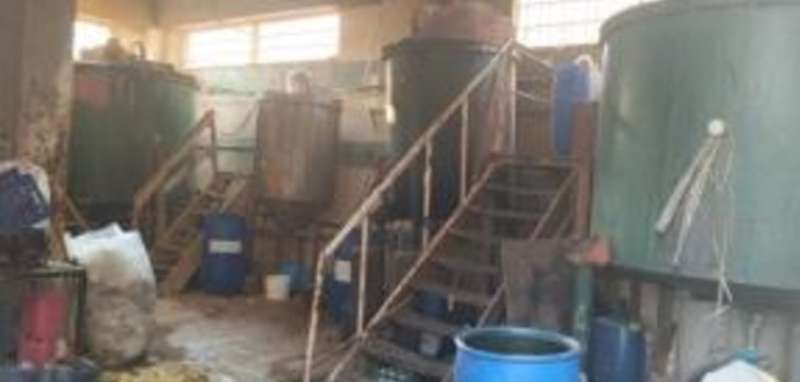 بوابة المصريين