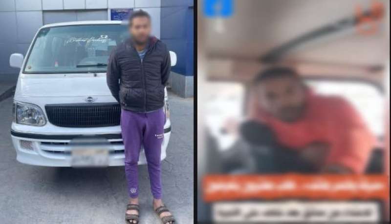 بوابة المصريين