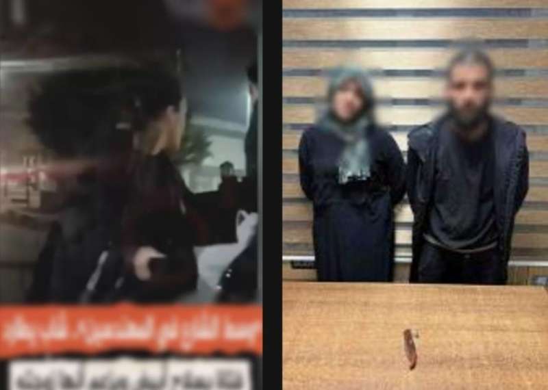 بوابة المصريين