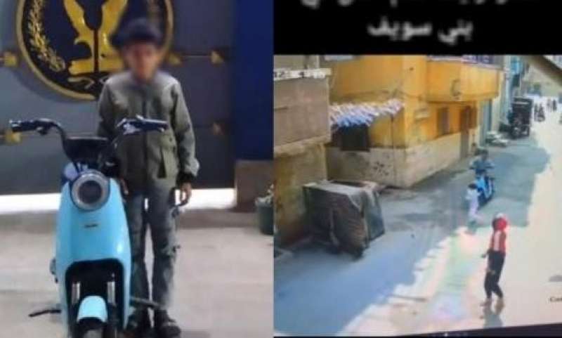 بوابة المصريين