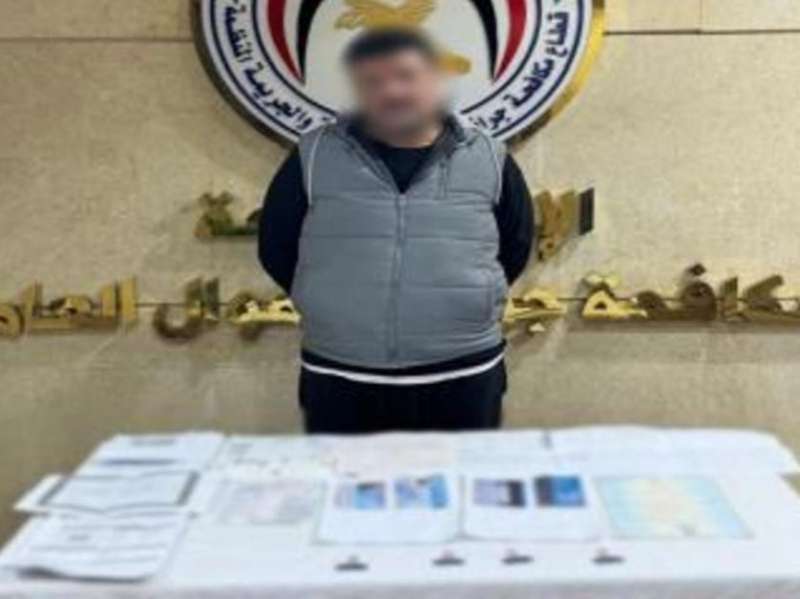 بوابة المصريين