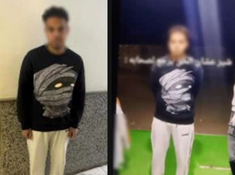 بوابة المصريين