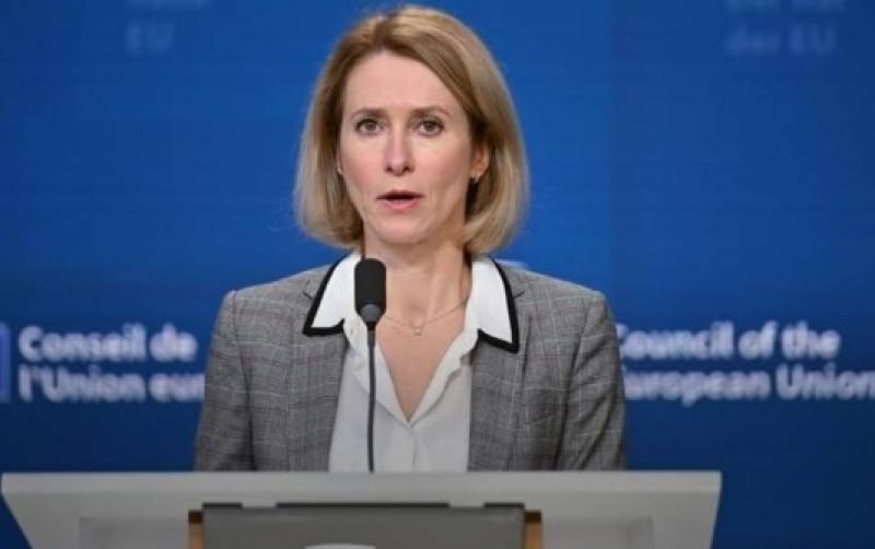 بوابة المصريين