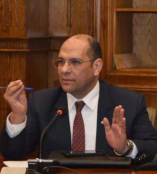 بوابة المصريين