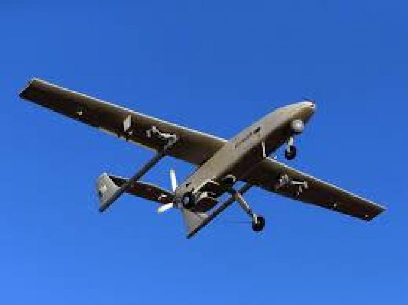 بوابة المصريين