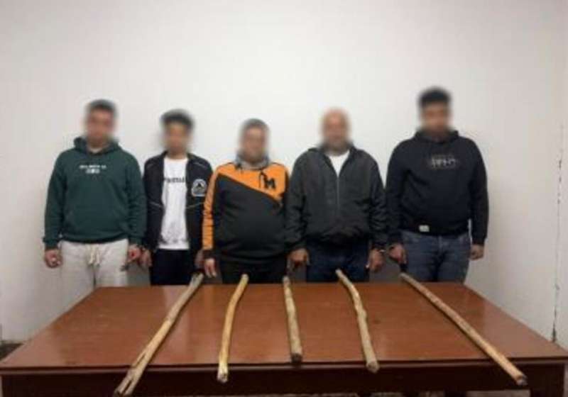 بوابة المصريين