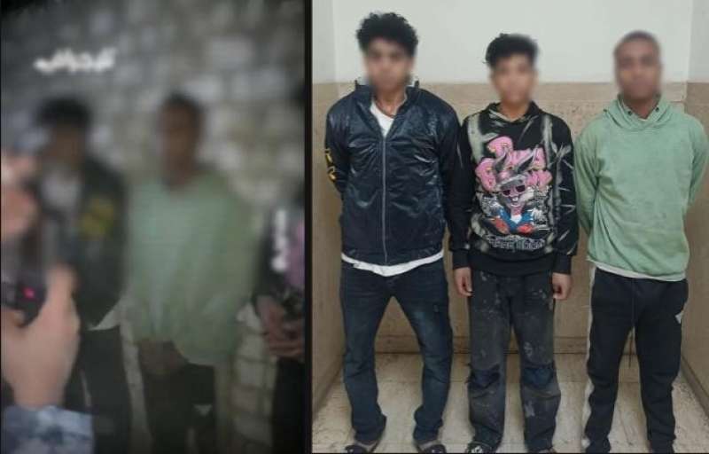 بوابة المصريين