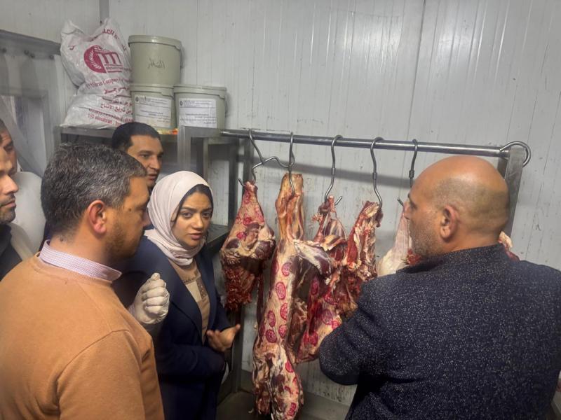 بوابة المصريين