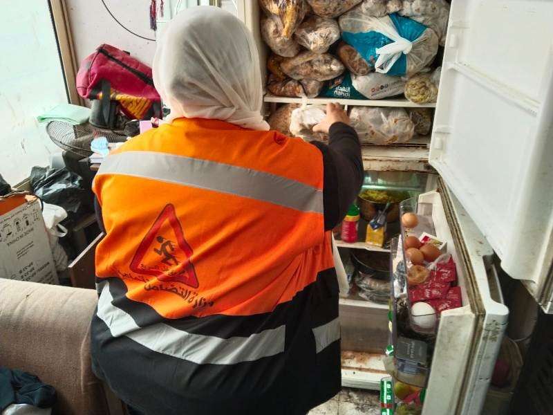 بوابة المصريين