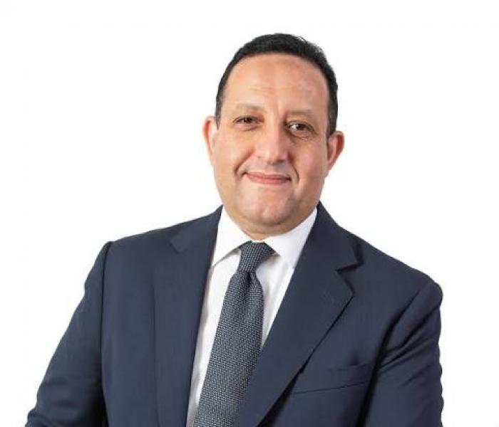 بوابة المصريين