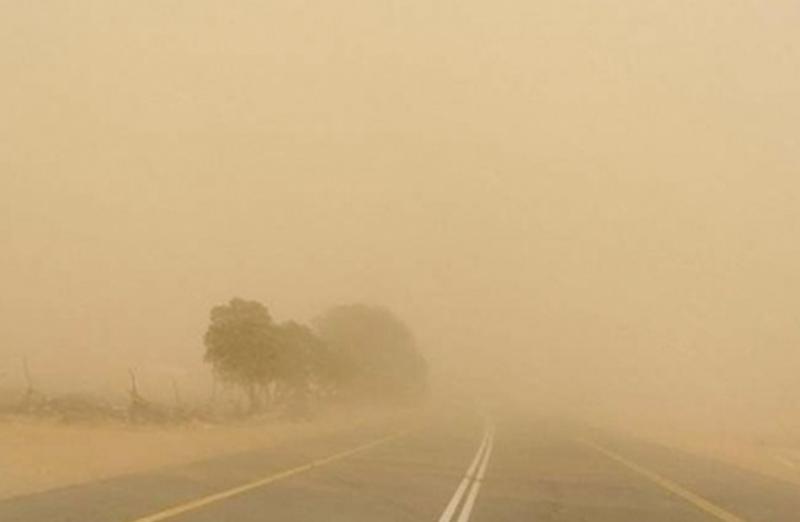 بوابة المصريين