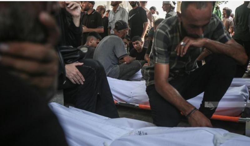 بوابة المصريين