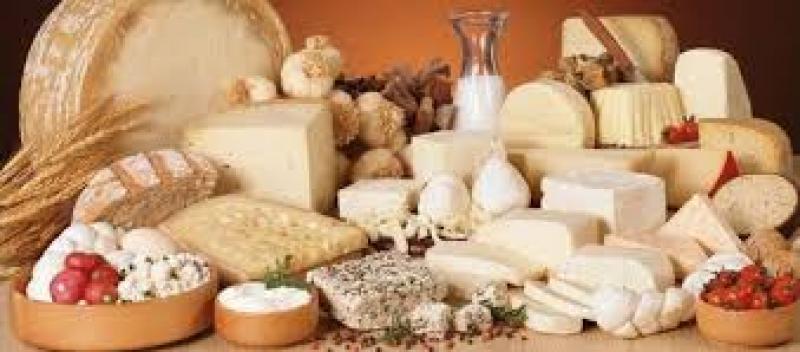 بوابة المصريين